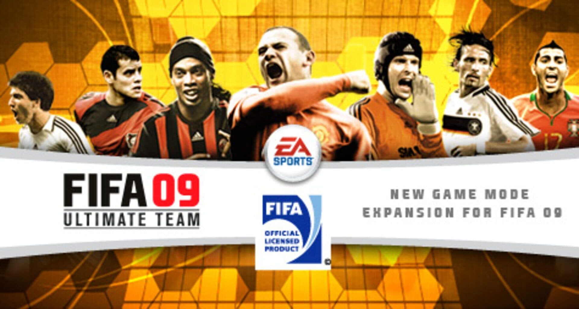 FIFA 09: Ultimate Team